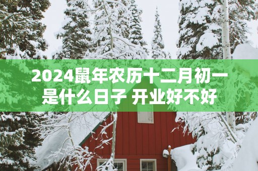 2025蛇年农历十二月初一是什么日子 开业好不好