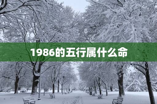 1986的五行属什么命