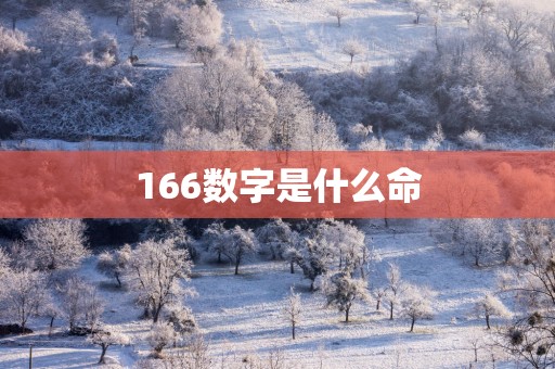 166数字是什么命