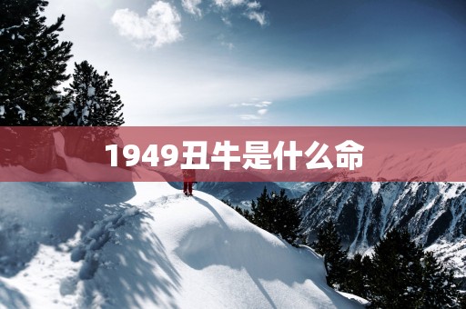 1949丑牛是什么命