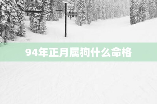 94年正月属狗什么命格