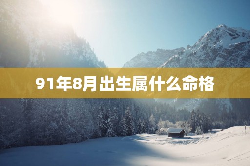 91年8月出生属什么命格