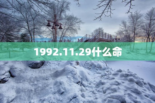 1992.11.29什么命 1992.11.29什么命