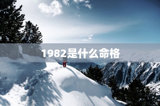 1982是什么命格