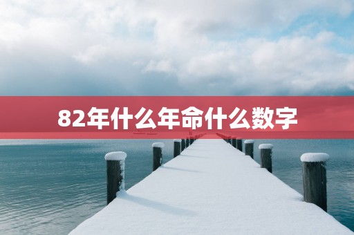 82年什么年命什么数字