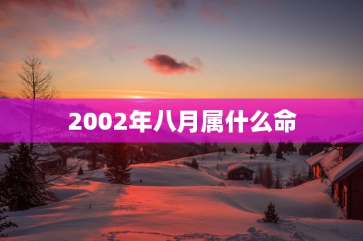 2002年八月属什么命