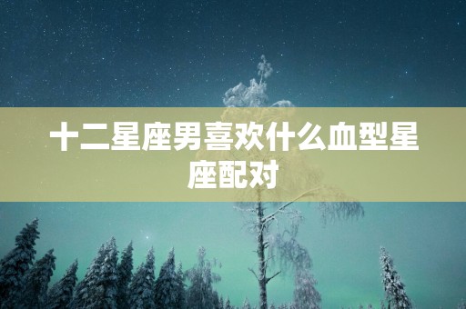 十二星座男喜欢什么血型星座配对 十二星座男喜欢什么血型星座配对