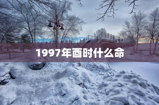 1997年酉时什么命