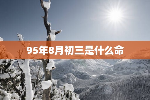 95年8月初三是什么命