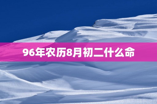 96年农历8月初二什么命