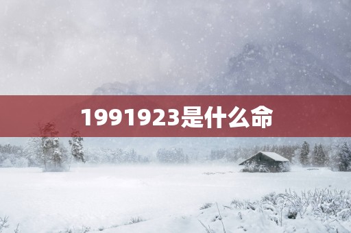 1991923是什么命