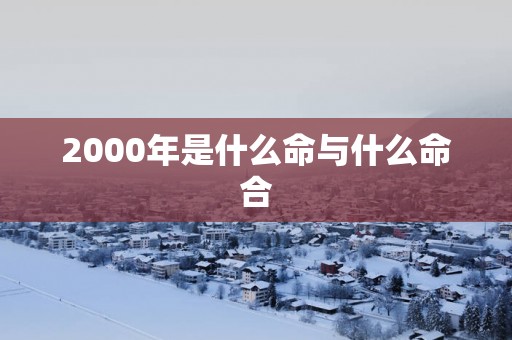 2000年是什么命与什么命合