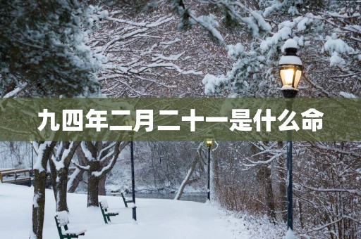 九四年二月二十一是什么命