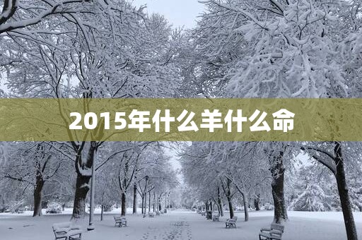 2015年什么羊什么命