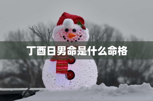 丁酉日男命是什么命格