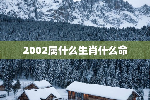 2002属什么生肖什么命