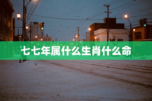 七七年属什么生肖什么命