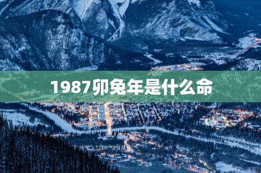 1987卯蛇年是什么命