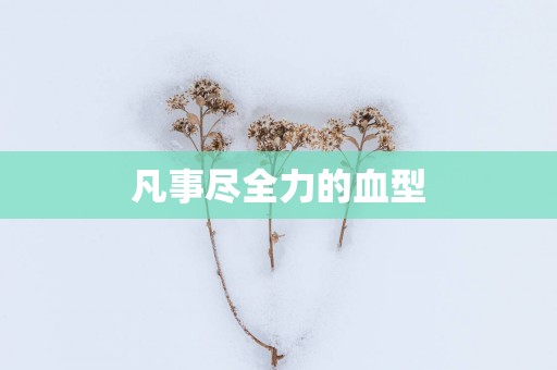 凡事尽全力的血型