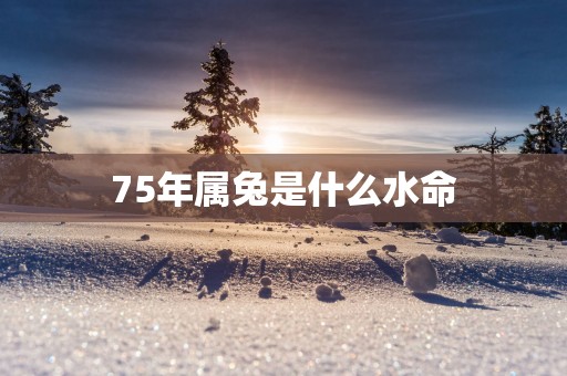 75年属兔是什么水命