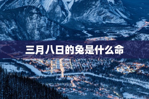 三月八日的兔是什么命