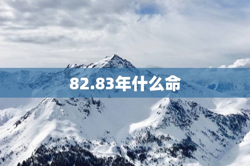 82.83年什么命