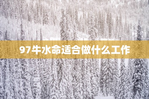 97牛水命适合做什么工作