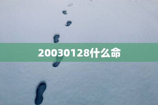 20030128什么命