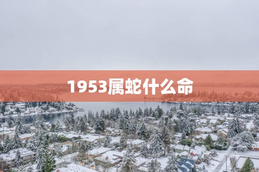 1953属蛇什么命