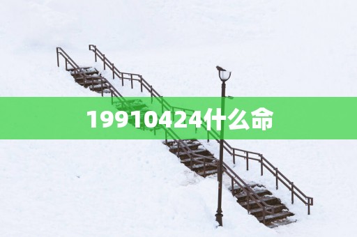 19910424什么命