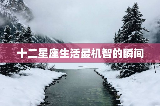 十二星座生活最机智的瞬间