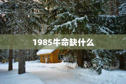 1985牛命缺什么