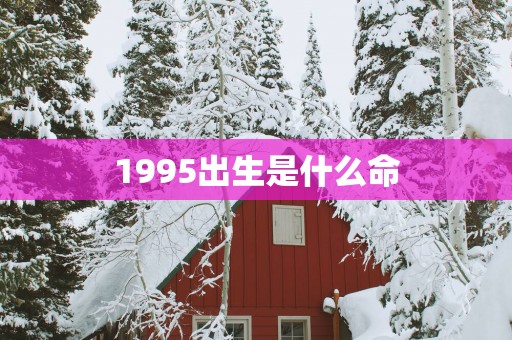 1995出生是什么命