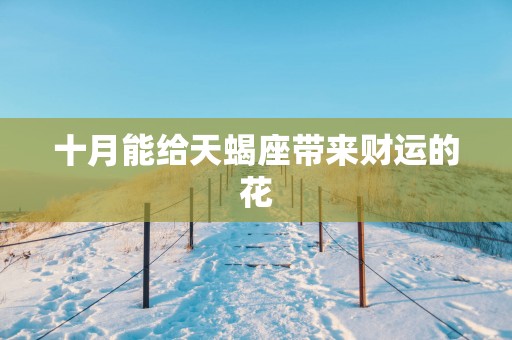 十月能给天蝎座带来财运的花