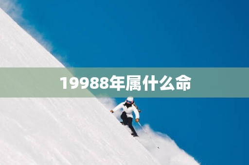 19988年属什么命