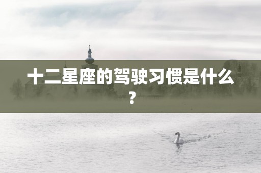 十二星座的驾驶习惯是什么？