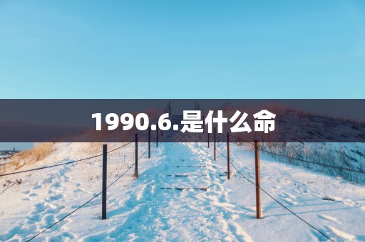 1990.6.是什么命