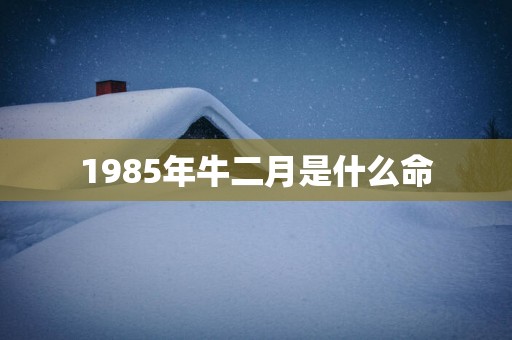 1985年牛二月是什么命