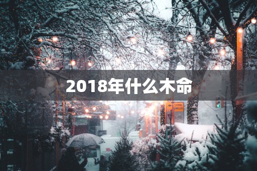 2018年什么木命