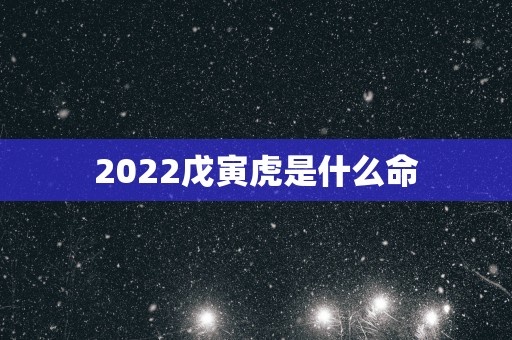 2025戊寅虎是什么命