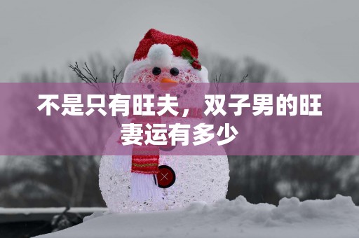 不是只有旺夫，双子男的旺妻运有多少