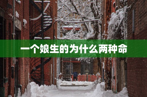一个娘生的为什么两种命