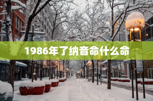 1986年了纳音命什么命