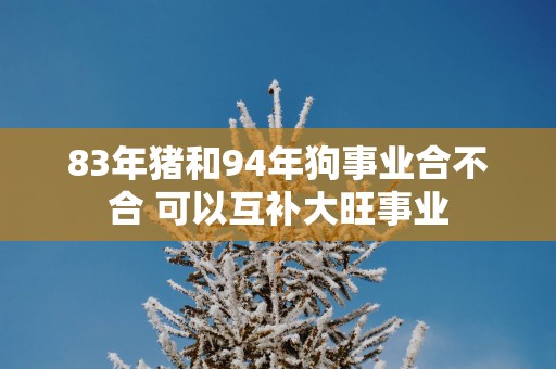 83年猪和94年狗事业合不合 可以互补大旺事业