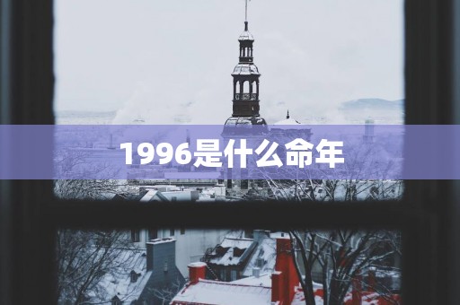 1996是什么命年