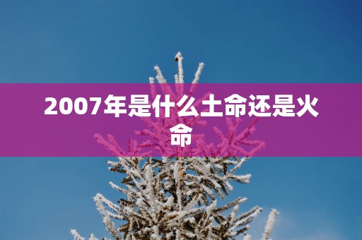 2007年是什么土命还是火命