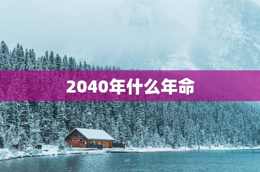 2040年什么年命