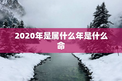 2025年是属什么年是什么命