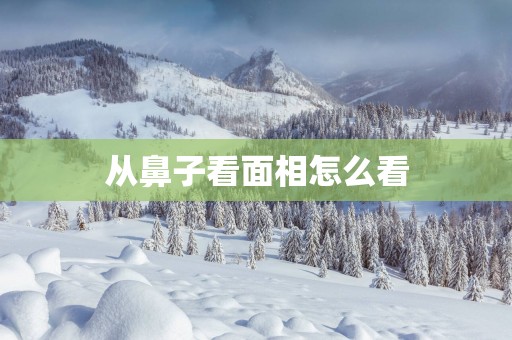 从鼻子看面相怎么看