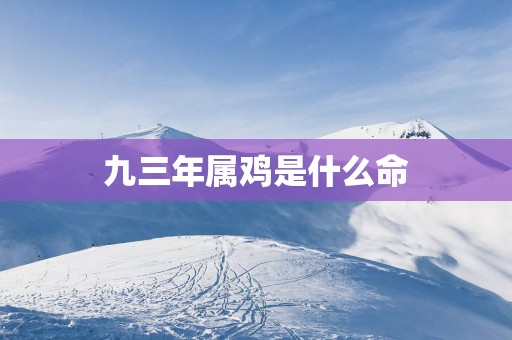 九三年属鸡是什么命
